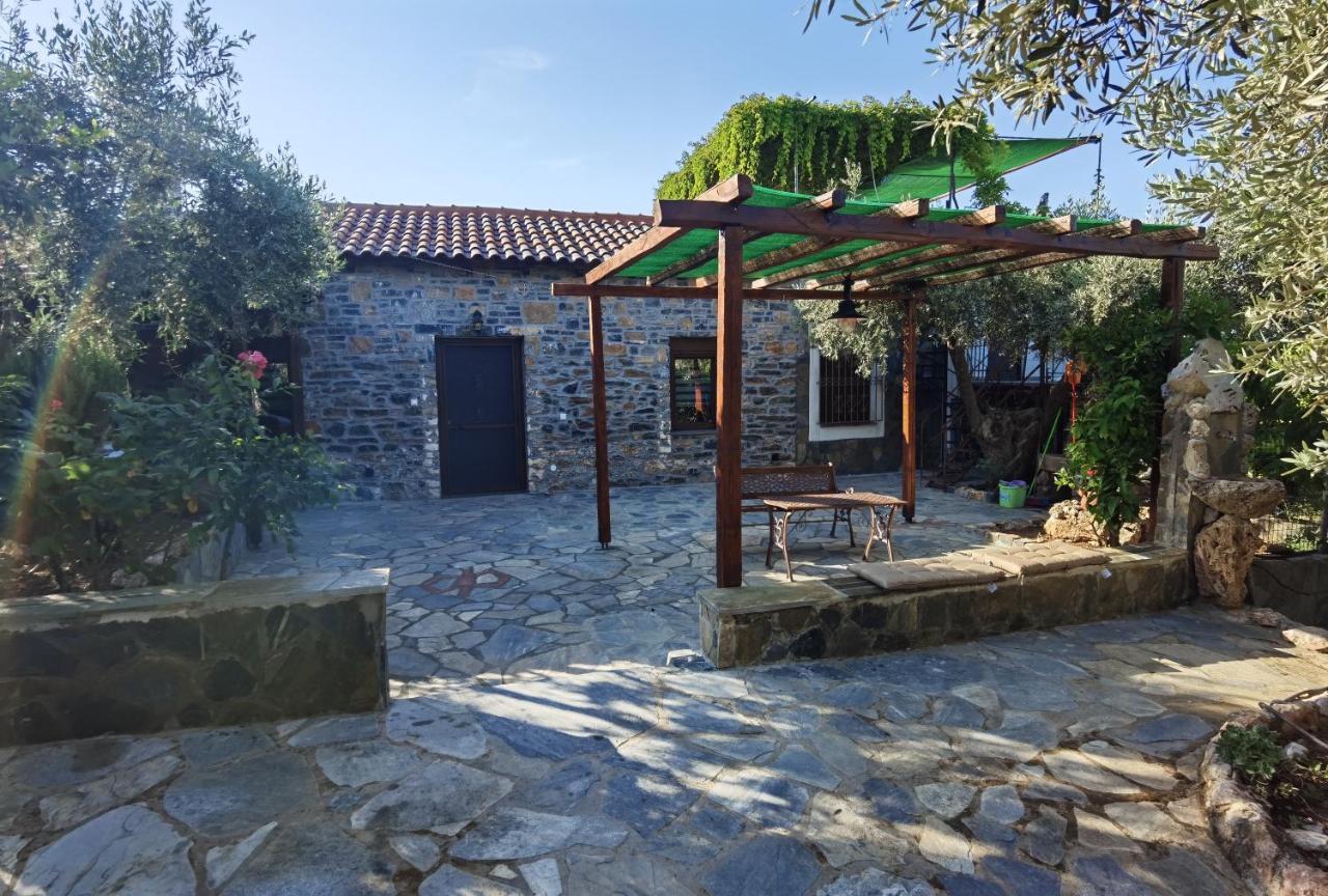 Villa Elaion Thea-Nies Sourpi Exterior foto