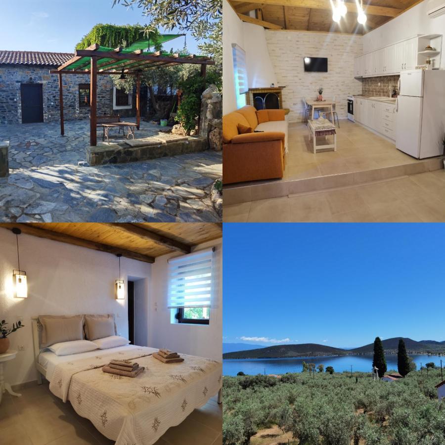 Villa Elaion Thea-Nies Sourpi Exterior foto