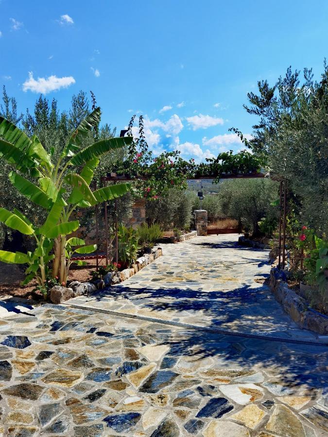 Villa Elaion Thea-Nies Sourpi Exterior foto