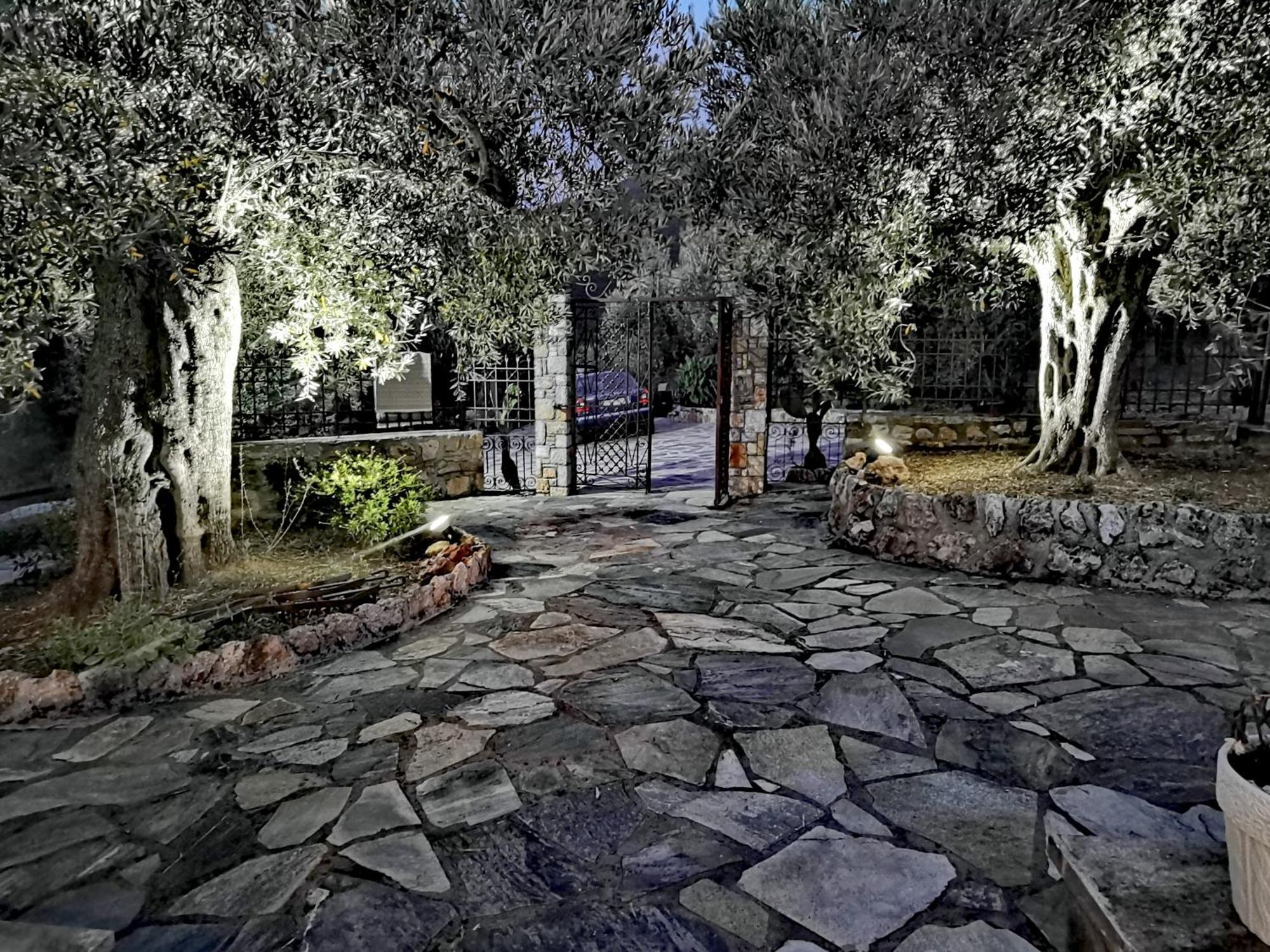 Villa Elaion Thea-Nies Sourpi Exterior foto